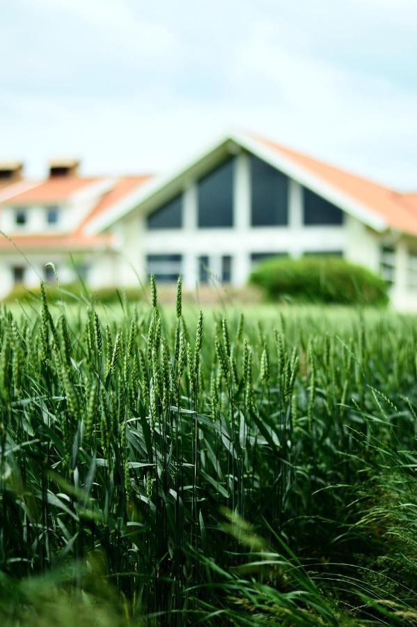 Katrinebergs Folkhoegskola B&B Vessigebro Luaran gambar